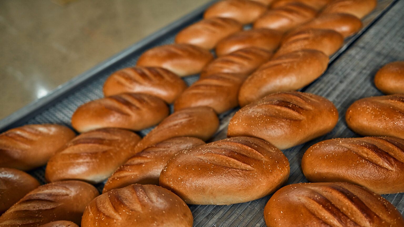 bakery-1-2