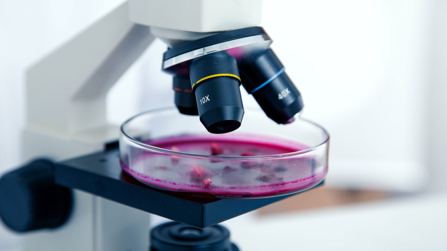 Labs_Biosafety_664047058