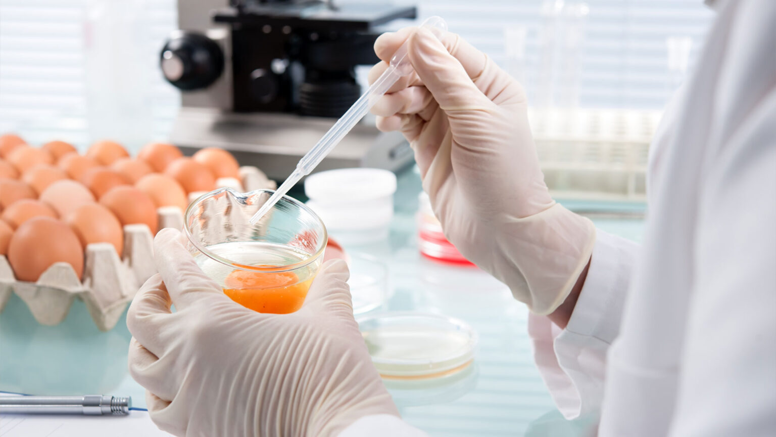 Labs_GMP_250375228