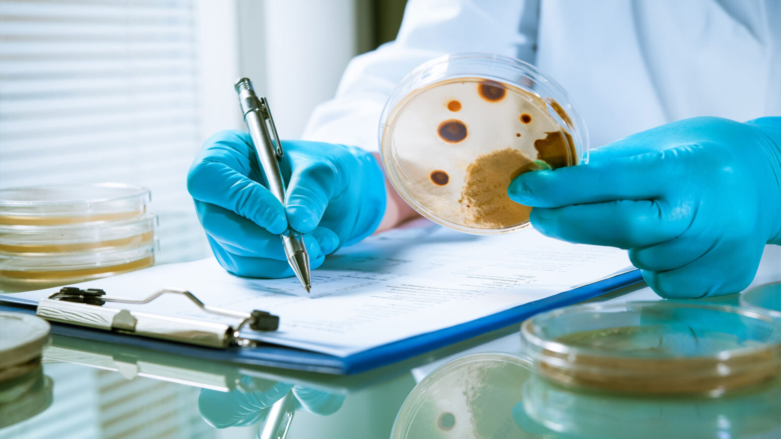 Labs_GMP_250375246