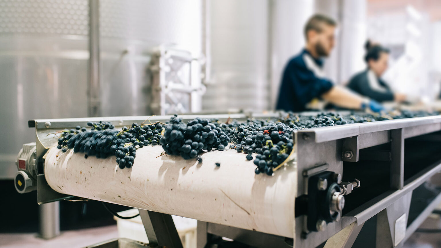 Winery_1311498401