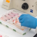 Pasteur Institute – Laboratories